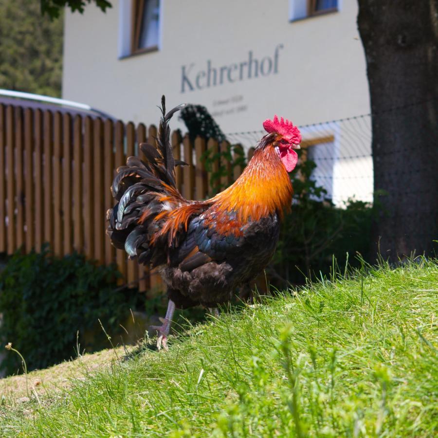 Kehrerhof Hotel Ellbögen Buitenkant foto